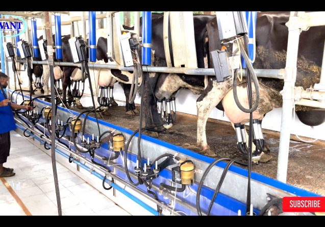 Screenshot 2024-12-06 at 4.14.47 PM